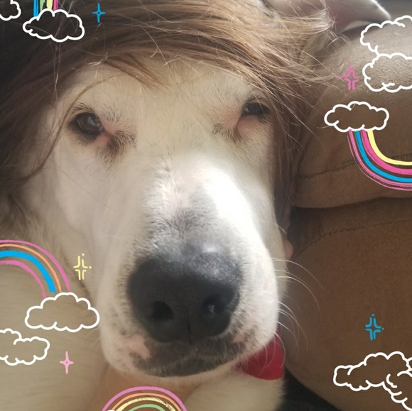 Meet your Posher, Jolene - Picture 1 of 1